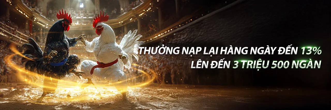 Đá Gà Trực Tuyến bj88vn code